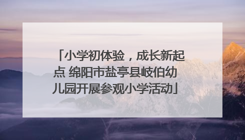 小学初体验，成长新起点 绵阳市盐亭县岐伯幼儿园开展参观小学活动