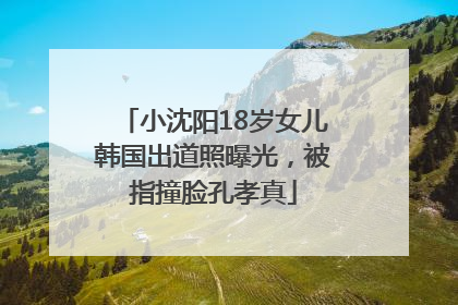 小沈阳18岁女儿韩国出道照曝光，被指撞脸孔孝真