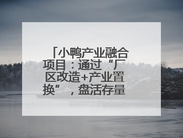 小鸭产业融合项目：通过“厂区改造+产业置换”，盘活存量，增值增效