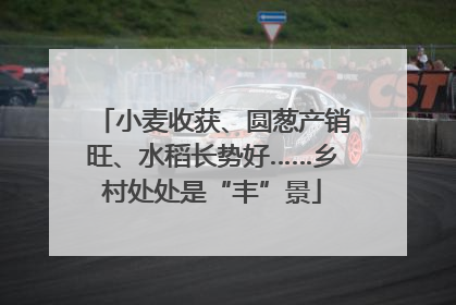 小麦收获、圆葱产销旺、水稻长势好……乡村处处是“丰”景
