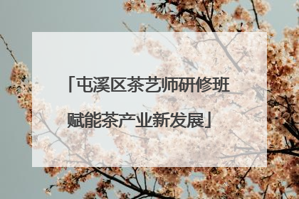 屯溪区茶艺师研修班赋能茶产业新发展
