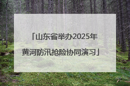 山东省举办2025年黄河防汛抢险协同演习