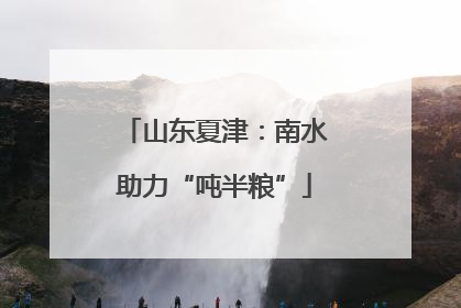 山东夏津：南水助力“吨半粮”
