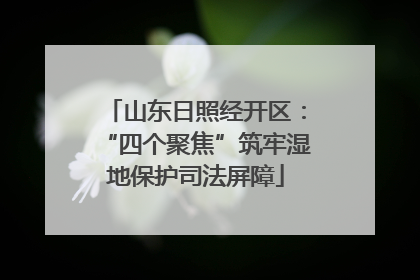 山东日照经开区：“四个聚焦”筑牢湿地保护司法屏障