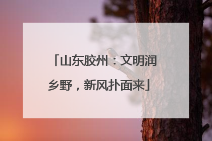 山东胶州：文明润乡野，新风扑面来