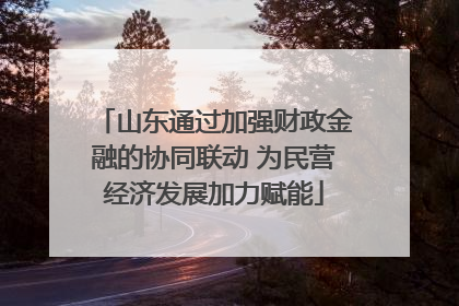 山东通过加强财政金融的协同联动 为民营经济发展加力赋能