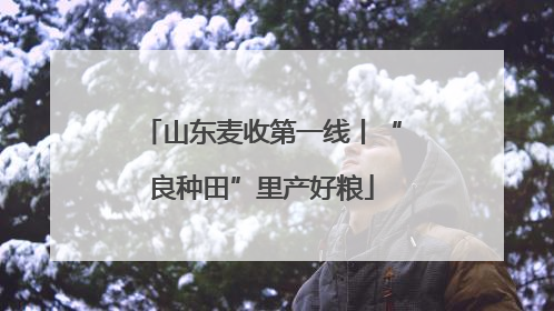 山东麦收第一线丨“良种田”里产好粮