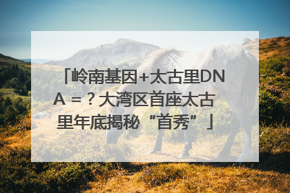 岭南基因+太古里DNA =？大湾区首座太古里年底揭秘“首秀”