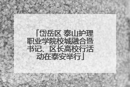 岱岳区 泰山护理职业学院校城融合暨书记、区长高校行活动在泰安举行