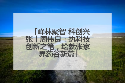 峰林聚智 科创兴张丨周伟良：执科技创新之笔，绘就张家界药谷新篇