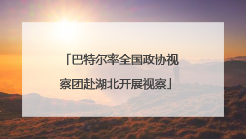 巴特尔率全国政协视察团赴湖北开展视察