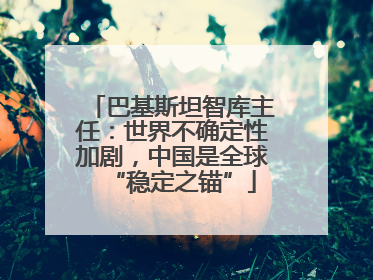 巴基斯坦智库主任：世界不确定性加剧，中国是全球“稳定之锚”