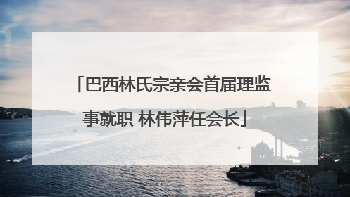 巴西林氏宗亲会首届理监事就职 林伟萍任会长