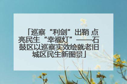 巡察“利剑”出鞘 点亮民生“幸福灯”——石鼓区以巡察实效绘就老旧城区民生新图景