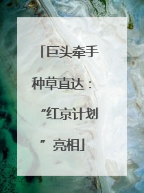巨头牵手种草直达：“红京计划”亮相