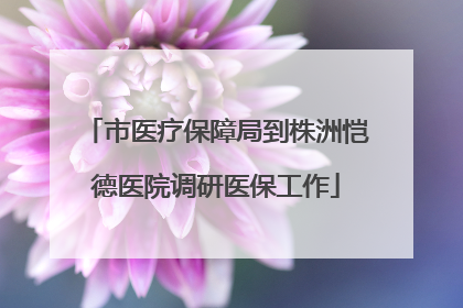 市医疗保障局到株洲恺德医院调研医保工作