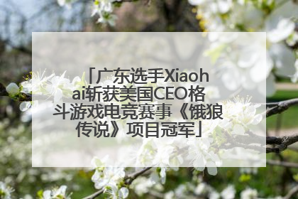广东选手Xiaohai斩获美国CEO格斗游戏电竞赛事《饿狼传说》项目冠军