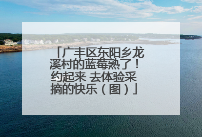 广丰区东阳乡龙溪村的蓝莓熟了！约起来 去体验采摘的快乐（图）