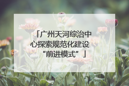 广州天河综治中心探索规范化建设“前进模式”