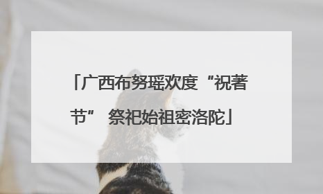 广西布努瑶欢度“祝著节” 祭祀始祖密洛陀