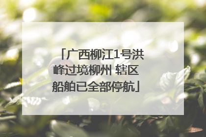 广西柳江1号洪峰过境柳州 辖区船舶已全部停航