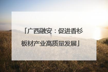 广西融安：促进香杉板材产业高质量发展