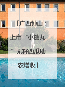 广西钟山：上市“小糖丸”无籽西瓜助农增收
