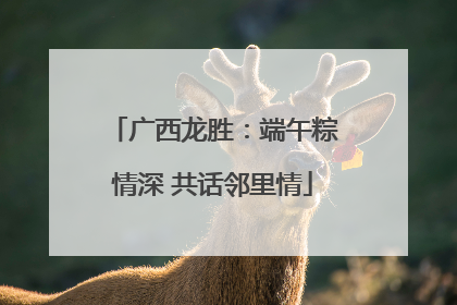 广西龙胜：端午粽情深 共话邻里情