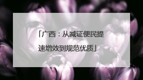 广西：从减证便民提速增效到规范优质