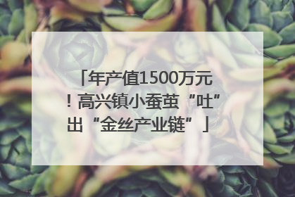 年产值1500万元！高兴镇小蚕茧“吐”出“金丝产业链”