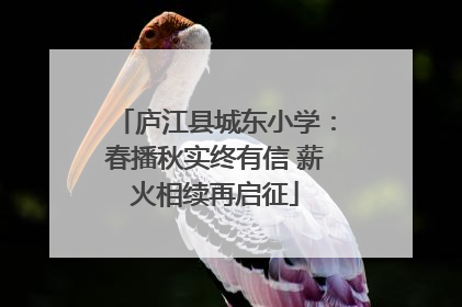 庐江县城东小学：春播秋实终有信 薪火相续再启征