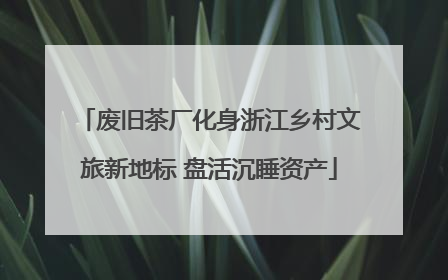 废旧茶厂化身浙江乡村文旅新地标 盘活沉睡资产