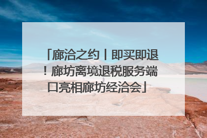 廊洽之约丨即买即退！廊坊离境退税服务端口亮相廊坊经洽会