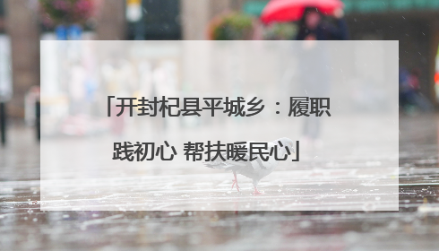 开封杞县平城乡：履职践初心 帮扶暖民心