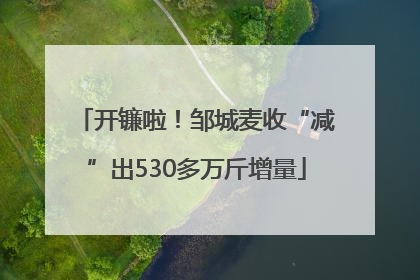开镰啦！邹城麦收“减”出530多万斤增量