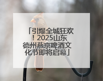 引爆全城狂欢！2025山东德州燕京啤酒文化节即将启幕