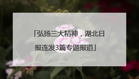 弘扬三大精神，湖北日报连发3篇专题报道