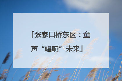张家口桥东区：童声“唱响”未来