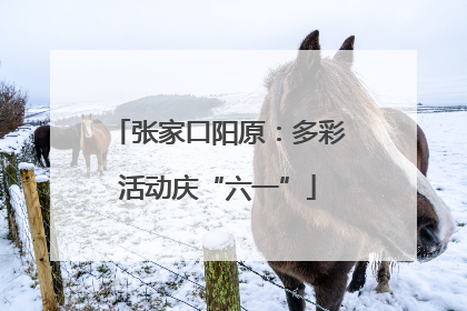 张家口阳原：多彩活动庆“六一”