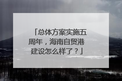 总体方案实施五周年，海南自贸港建设怎么样了？