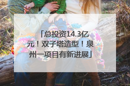 总投资14.3亿元！双子塔造型！泉州一项目有新进展