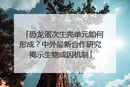 恐龙蛋次生壳单元如何形成？中外最新合作研究揭示生物成因机制