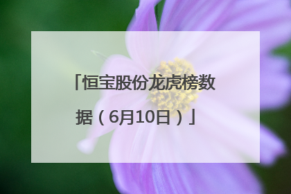 恒宝股份龙虎榜数据（6月10日）