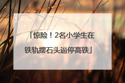 惊险！2名小学生在铁轨摆石头逼停高铁