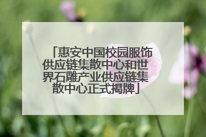 惠安中国校园服饰供应链集散中心和世界石雕产业供应链集散中心正式揭牌