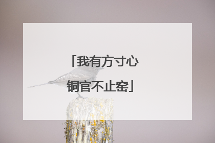 我有方寸心 铜官不止窑