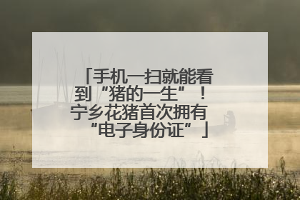 手机一扫就能看到“猪的一生”！宁乡花猪首次拥有“电子身份证”