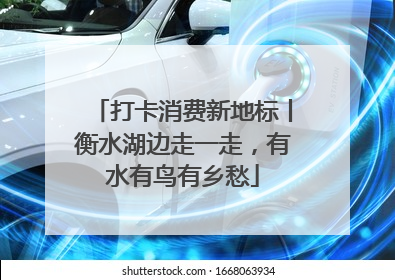 打卡消费新地标丨衡水湖边走一走，有水有鸟有乡愁