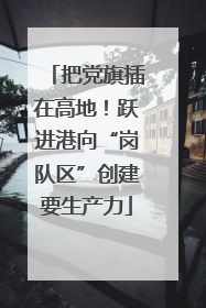 把党旗插在高地！跃进港向“岗队区”创建要生产力