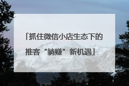 抓住微信小店生态下的推客“躺赚”新机遇